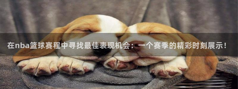 在nba篮球赛程中寻找最佳表现机会：一个赛季的精彩时刻展示！