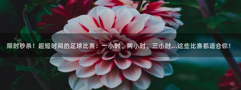 米兰体育报是谁控股：限时秒杀！超短时间的足球比赛：一小时、两