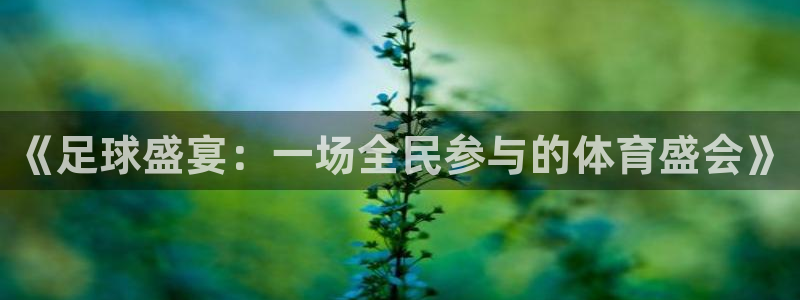 米兰体育入口：《足球盛宴：一场全民参与的体育盛会》
